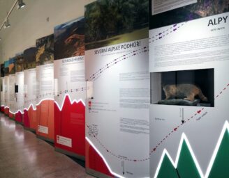 Výstava v Jihočeském muzeu